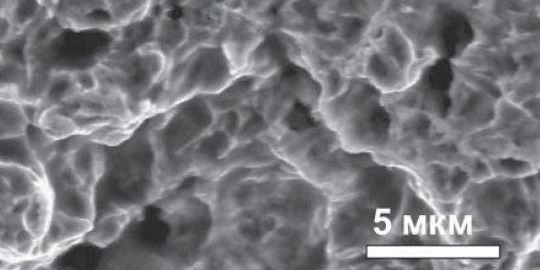 Экспериментальное обоснование стоматологических имплантатов малого диаметра с внутренним соединительным узлом для двухфазной имплантации